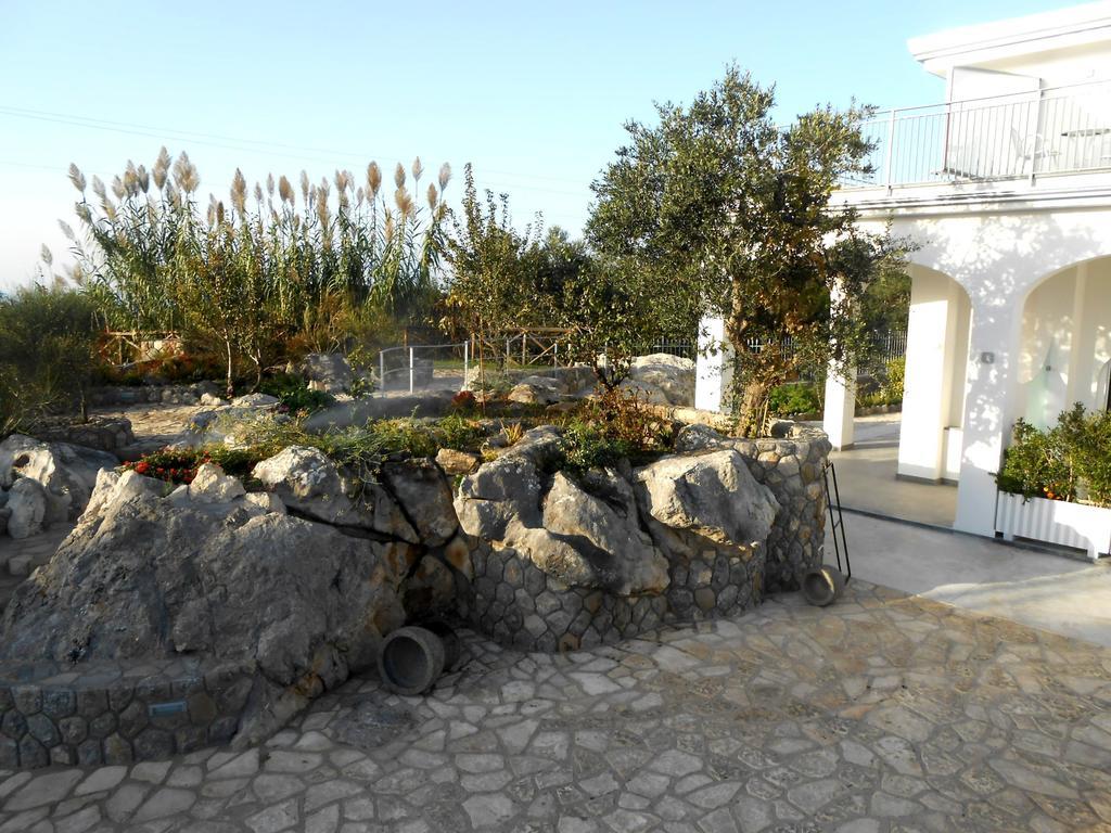 Casacolarusso Ξενοδοχείο Massa Lubrense Εξωτερικό φωτογραφία